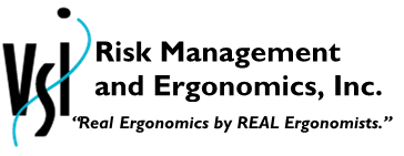 VSI, Logo